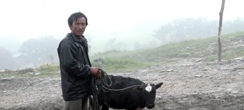 दोर्जेको चौँरी गोठः कठै किसानको जिन्दगी