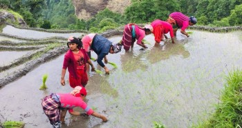 असारे गीत : दुःख कष्ट र थकाई विर्साउने भाका (गीतका नमूनासहित) 