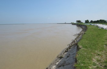 सप्तकोसीको बाँध फुट्यो, ४ हजार घर परिवार विस्थापित हुने उच्च जोखिममा